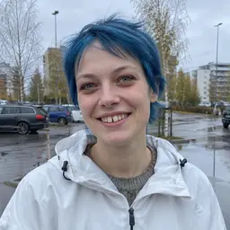 Sami Sini-Puisto