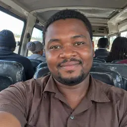 Tendani T. Mokoena