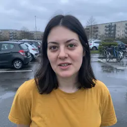Sofia-Li Damsgaard-Kjær